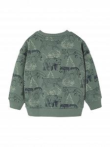 Толстовка Vertbaudet з принтом для хлопчиків, перероблений поліестер synthetic.ua - Фото 1