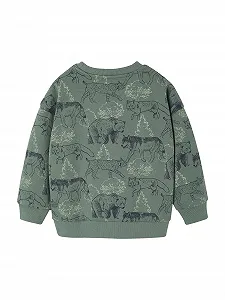 Толстовка Vertbaudet с принтом для мальчиков, переработанный полиэстер synthetic.ua - Фото 1