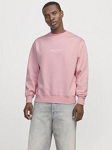Толстовка JACK & JONES Jorvesterbro Sweat Crew Neck Noos synthetic.ua - Фото 1