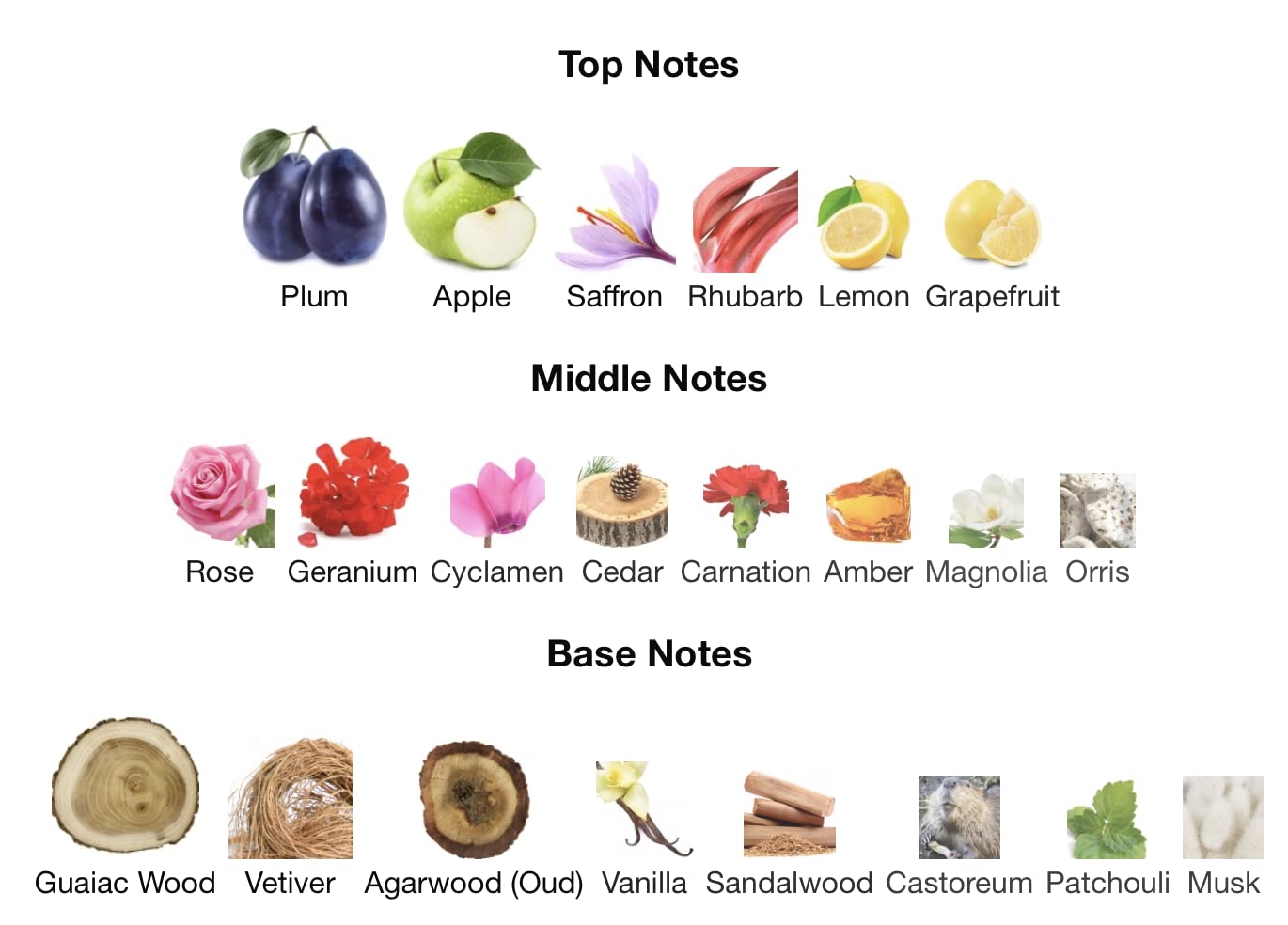 Парфюм VERTUS Oud Noir 100 мл, фото №3