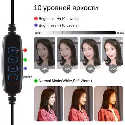 Набор блогера Puluz Ring USB LED lamp PU397 10.2", фото №2 Набор блогера Puluz Ring USB LED lamp PU397 10.2", фото №2