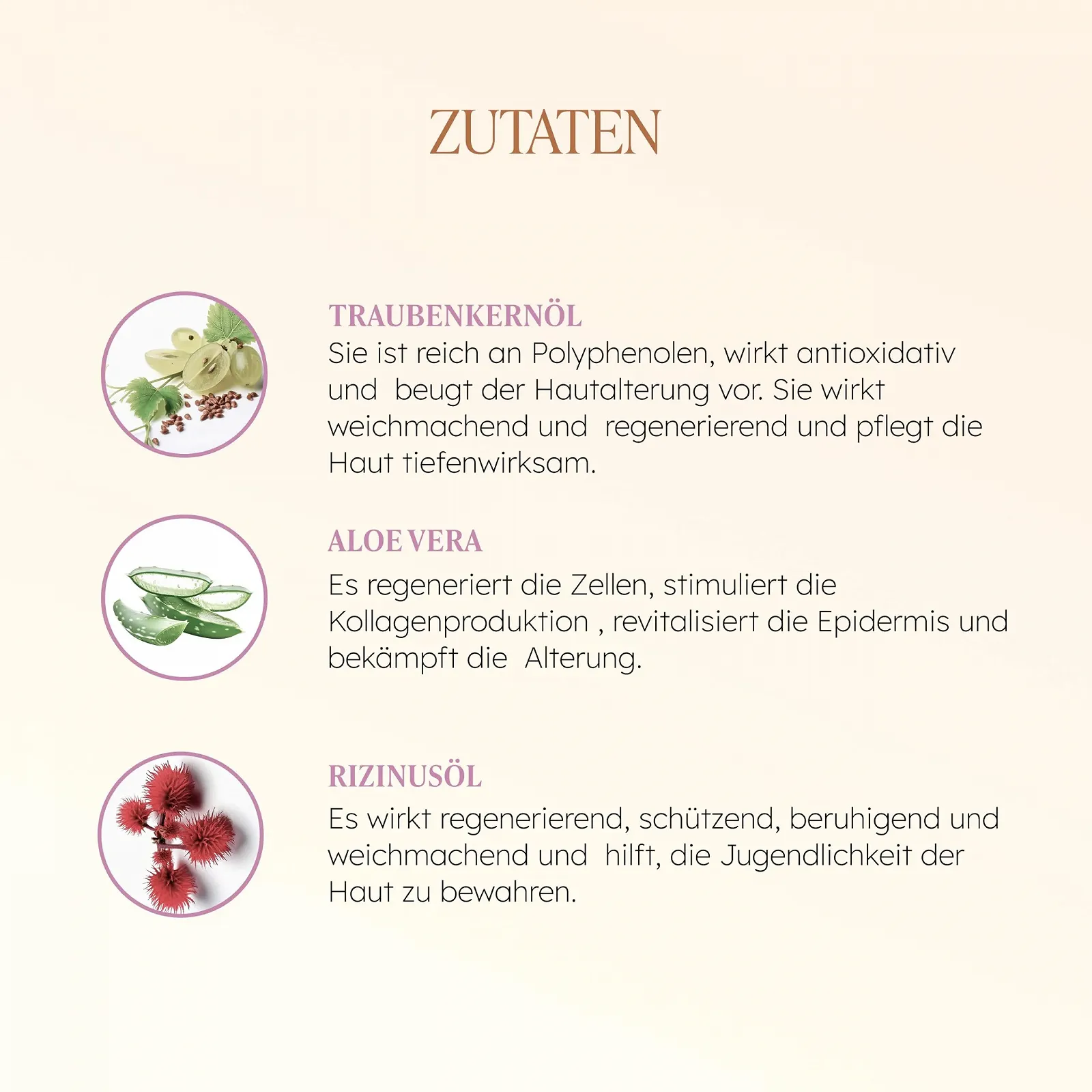 Крем Taaj Rasayana Anti-Ageing Prevention антивіковий 50 мл, фото №5 Крем Taaj Rasayana Anti-Ageing Prevention антивіковий 50 мл, фото №5