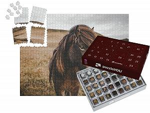 Пазл puzzleYOU Puzzle Advent Calendar "Прекрасная исландская лошадь крупным планом" 1000 элементов - Фото 1