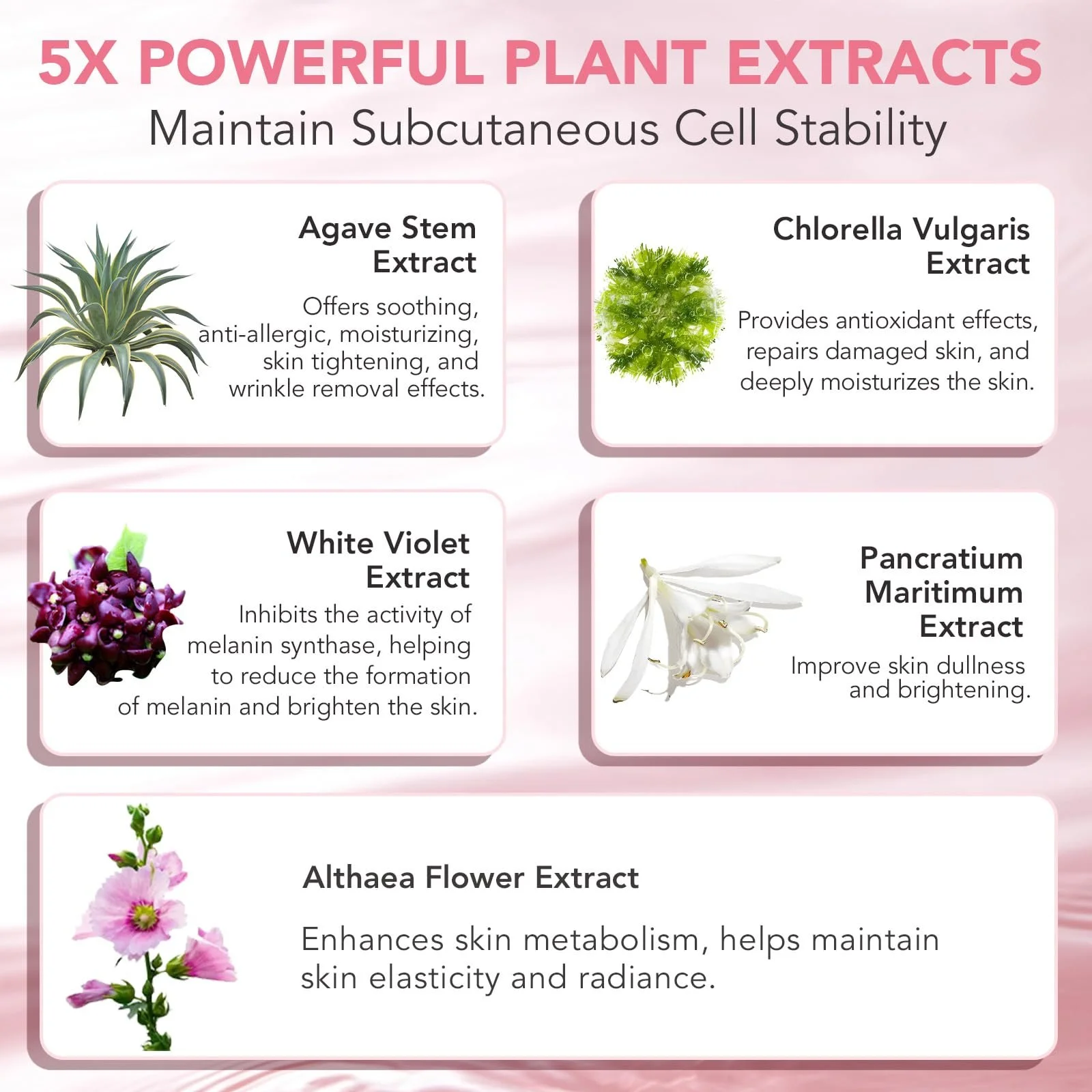 Нічна маска для обличчя з колагеном для глибокого та тривалого зволоження, фото №5