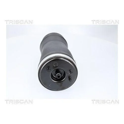 Пневматична пружина TRISCAN для BMW, задня ліва, фото №2