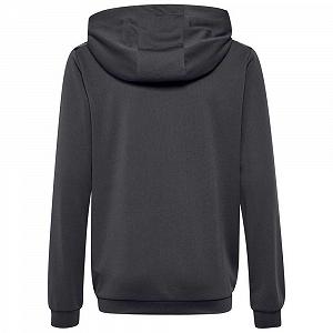 Кофта з капюшоном Hummel Authentic PL Дитяча synthetic.ua - Фото 1