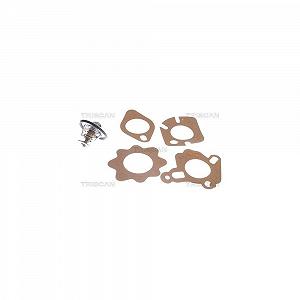 Термостат охолоджувальної рідини TRISCAN 8620 2188 CHRYSLER CITROËN FORD MAZDA NISSAN - Фото 1