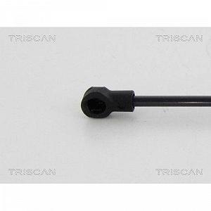 Амортизатор відкидного даху TRISCAN 8710 38242 для CITROËN synthetic.ua - Фото 1