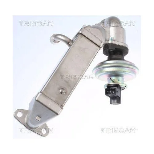 Клапан EGR TRISCAN 8813 11009 для BMW HITACHI, фото №4