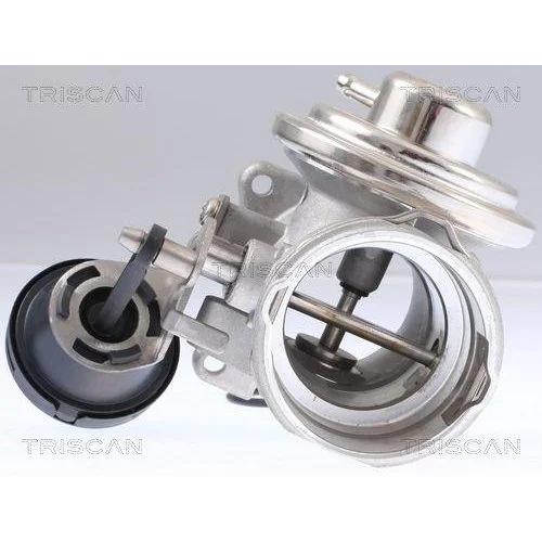Клапан EGR TRISCAN 8813 29308 для VW, фото №3