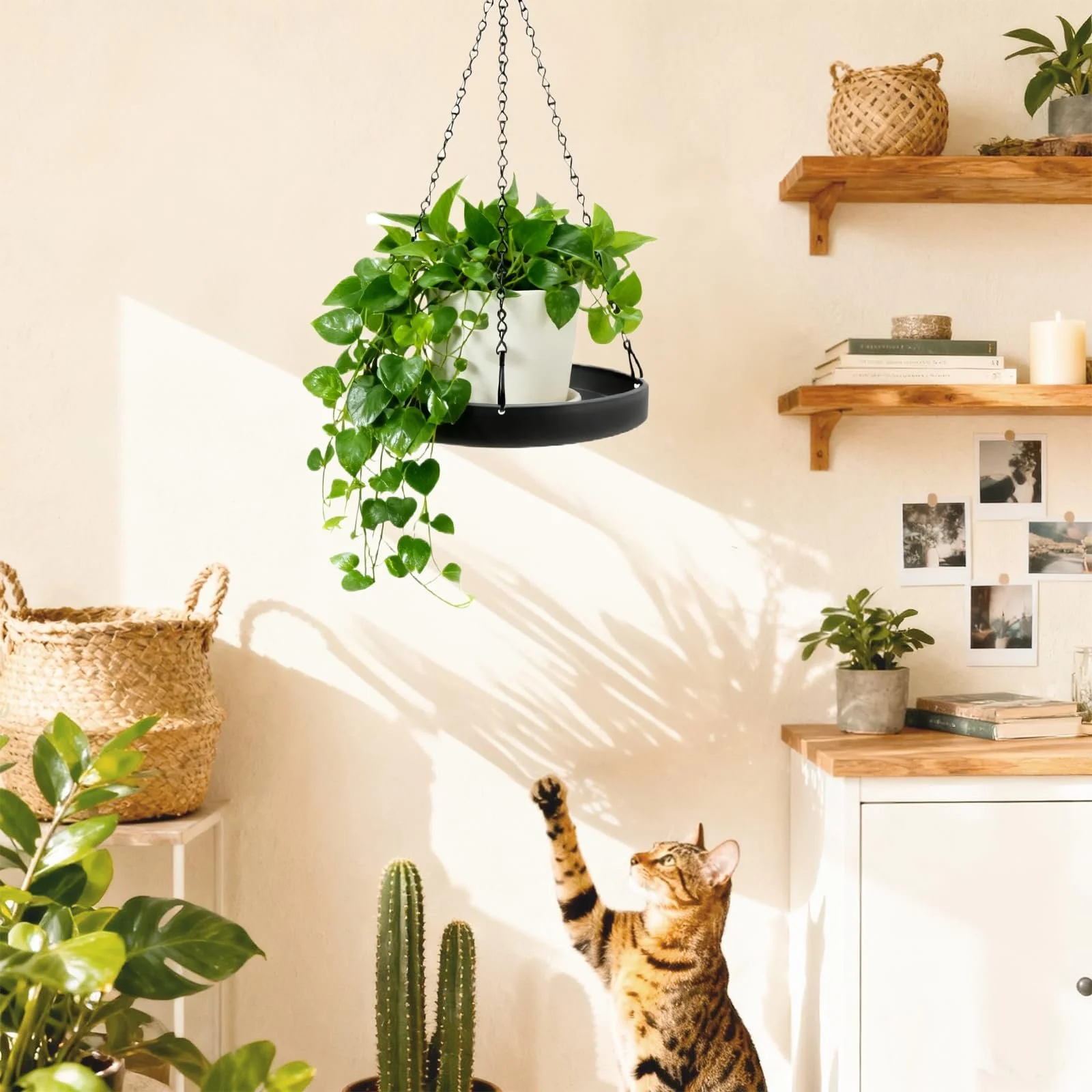 Подвесные кашпо Набор 2 шт Металлические С цепью Черные, фото №5 Подвесные кашпо Набор 2 шт Металлические С цепью Черные, фото №5