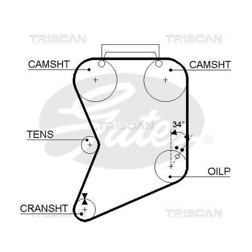 Ремень ГРМ TRISCAN 8645 5022 для FIAT LANCIA SEAT DANA, фото №2