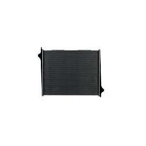 Радиатор охлаждения двигателя HELLA 8MK 366 300-011 synthetic.ua - Фото 1