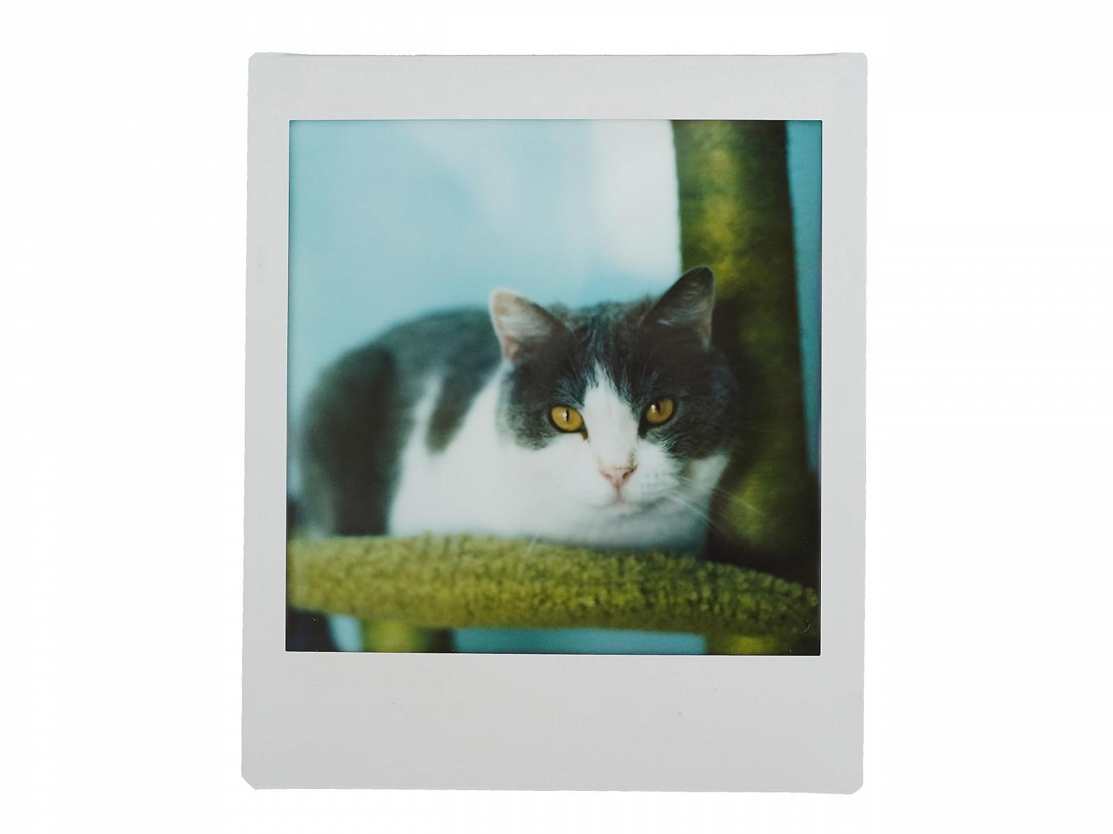 Задник для камеры NONS Instant Back-H1P Hasselblad Instax Square Film Set, фото №9