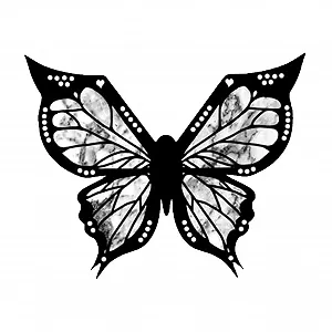 Купить Трафарет для подводки глаз Butterfly Многофункциональный инструмент для макияжа для начинающих - Фото 1 Трафарет для подводки глаз Butterfly Многофункциональный инструмент для макияжа для начинающих - Фото 1