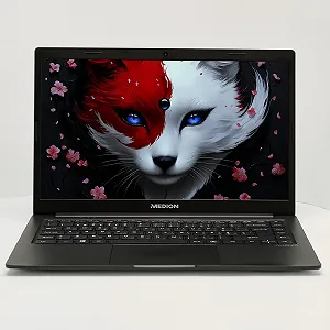 Ультрабук 14" Medion (Lenovo Group) Akoya E4251 Intel RAM 4ГБ SSD 512 ГБ Intel Graphics Метал IPS FullHD Win10 (4828) - Фото 1