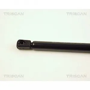 Газовая пружина багажника TRISCAN 8710 25207 для RENAULT synthetic.ua - Фото 1