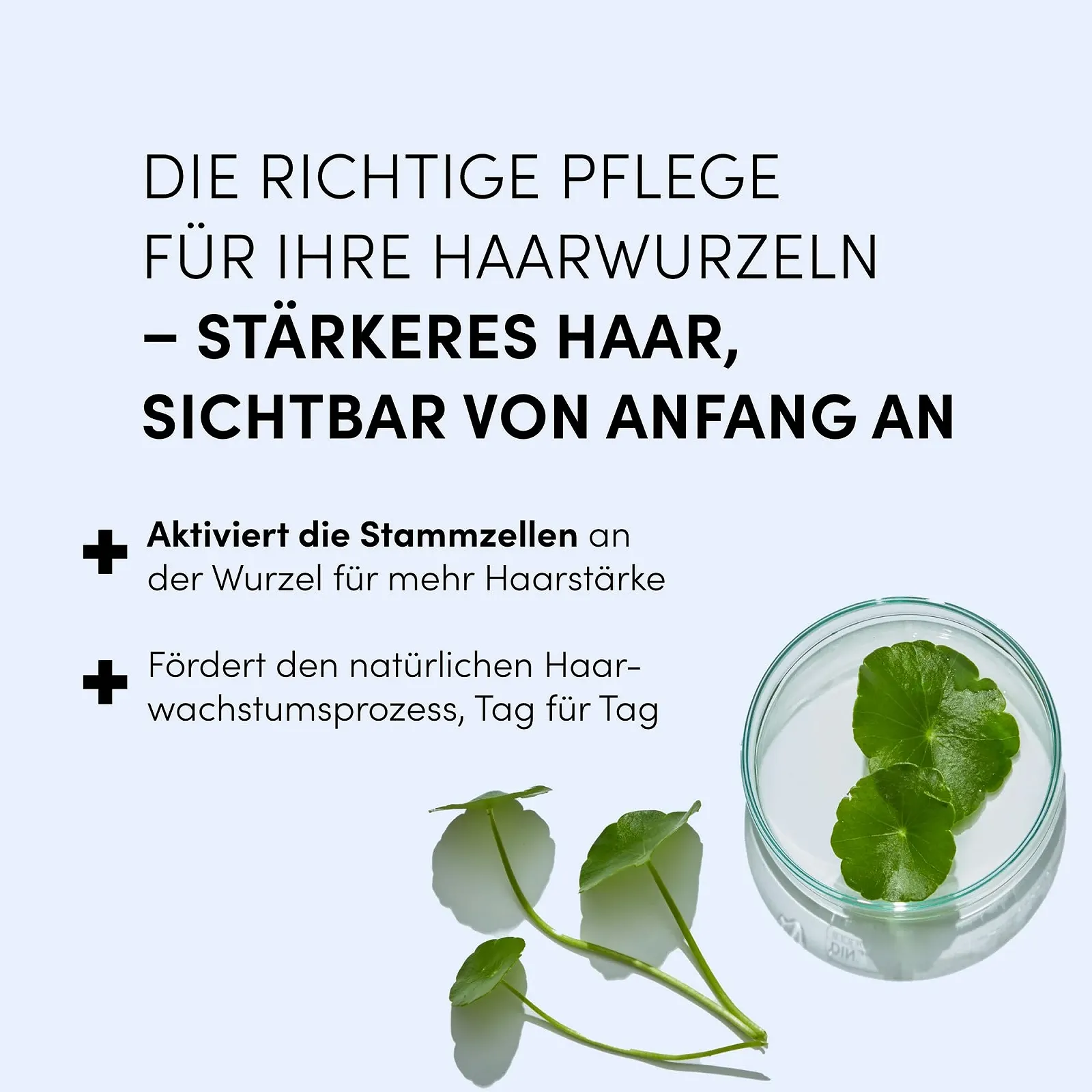 Сироватка проти випадіння волосся Dr. Balwi з Procapil& AnaGain, зміцнює коріння волосся, стимулює ріст волосся, 5 флаконів по 6 мл, фото №4