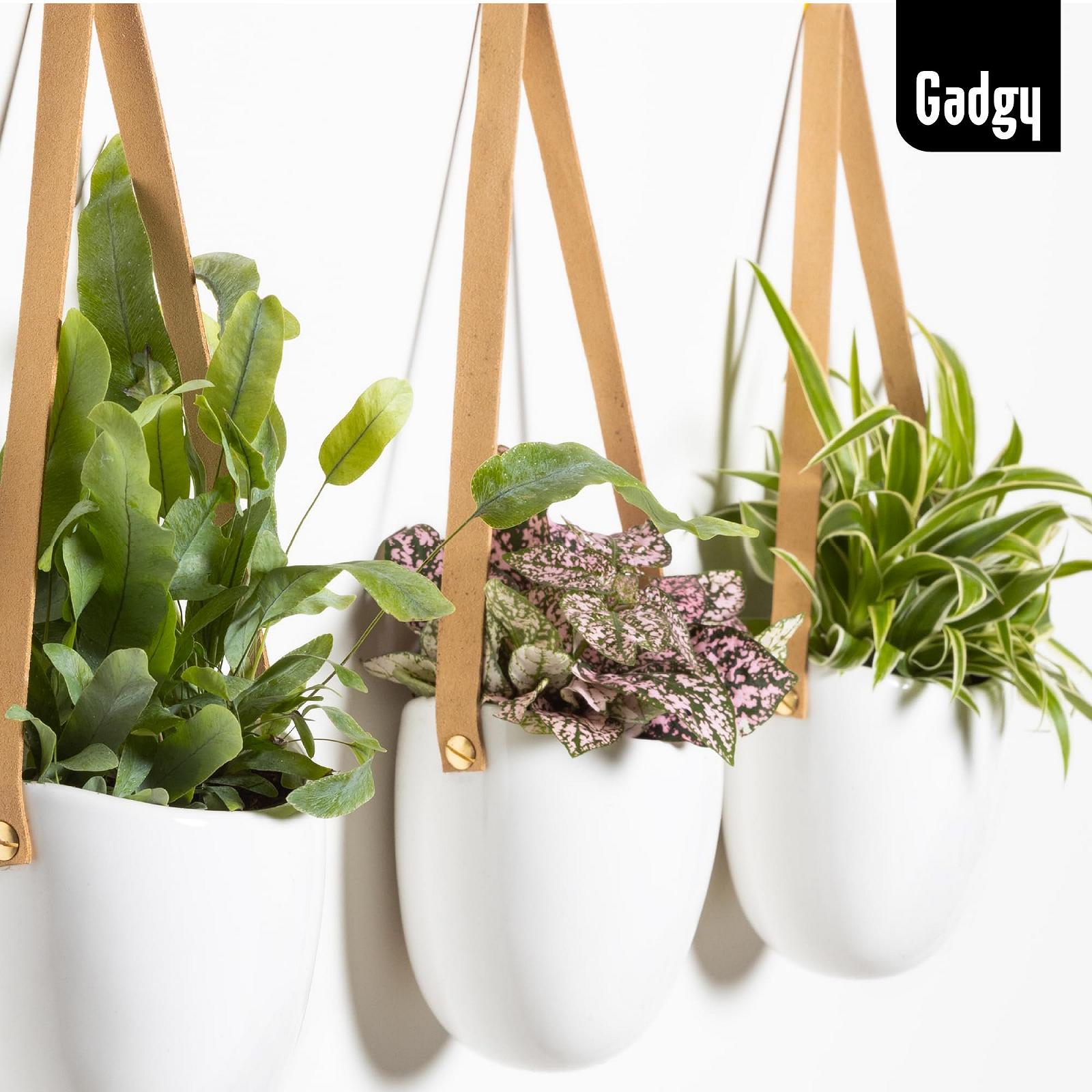 Підвісні горщики Gadgy Набір 3 шт. Керамічні з пласкою спинкою та шнурами Білий, фото №9 Підвісні горщики Gadgy Набір 3 шт. Керамічні з пласкою спинкою та шнурами Білий, фото №9
