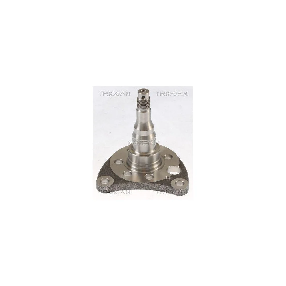 Маточина колеса TRISCAN 8535 29011 для AUDI SEAT SKODA, задня вісь, фото №1
