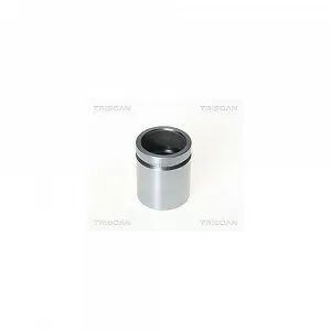 Поршень тормозного суппорта TRISCAN 8170 233865 - Фото 1
