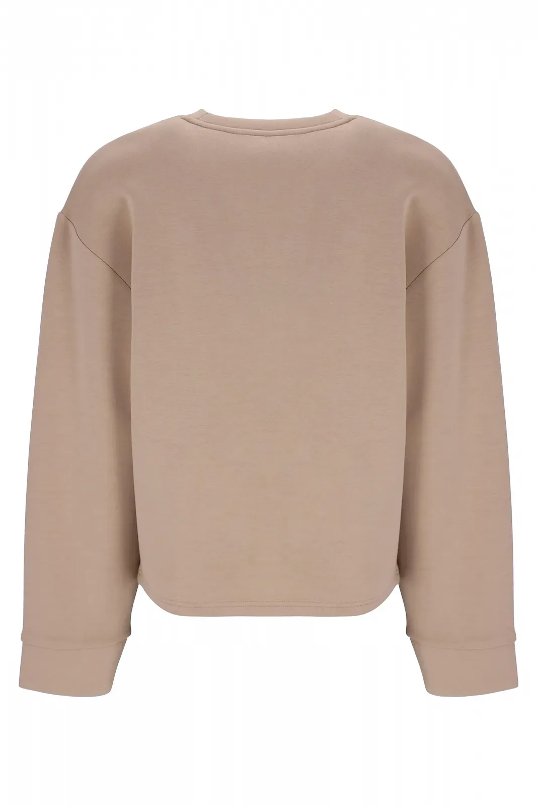 Женская Толстовка Russell Athletic Judi-Box Line Crew Neck Sweat (1 шт. в упаковке), фото №2 Женская Толстовка Russell Athletic Judi-Box Line Crew Neck Sweat (1 шт. в упаковке), фото №2