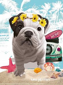 Пазл Ravensburger Teo California 500 деталей (12000953) - Фото 1