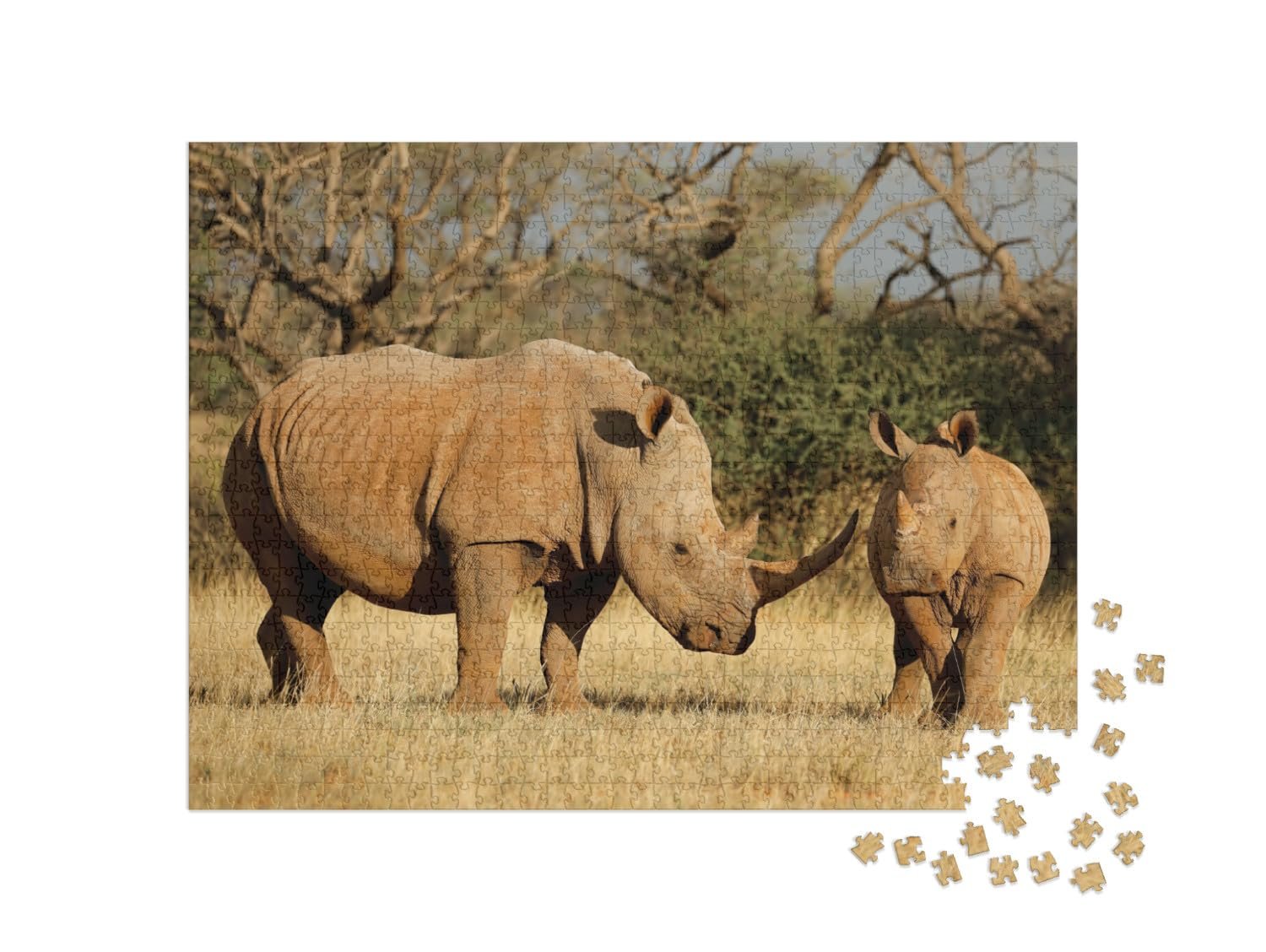 Пазл puzzleYOU Rhinos, Savannah Collection White Rhino with Calf in South Africa 1000 элементов, фото №2