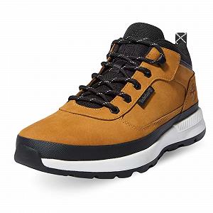 Кросівки Timberland Filed Trekker Low Lace Trainers TB1A2A15231 - Фото 1