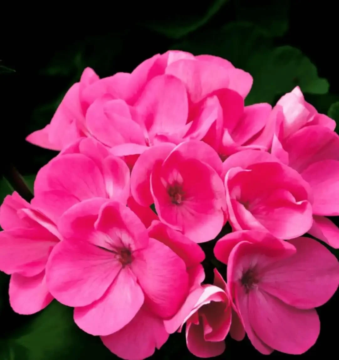 Парфумована вода Yodeyma Root 50 мл, фото №3