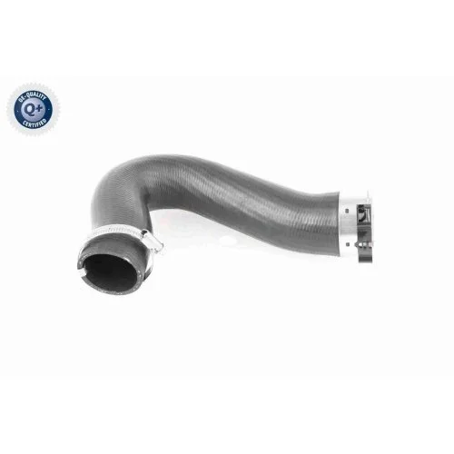 Шланг інтеркулера VAICO V10-3782 Q+ AUDI SEAT SKODA VW, фото №2