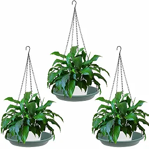 Подвесные корзины 3 шт. Пластиковые 30 см Темно-зеленые - Фото 1