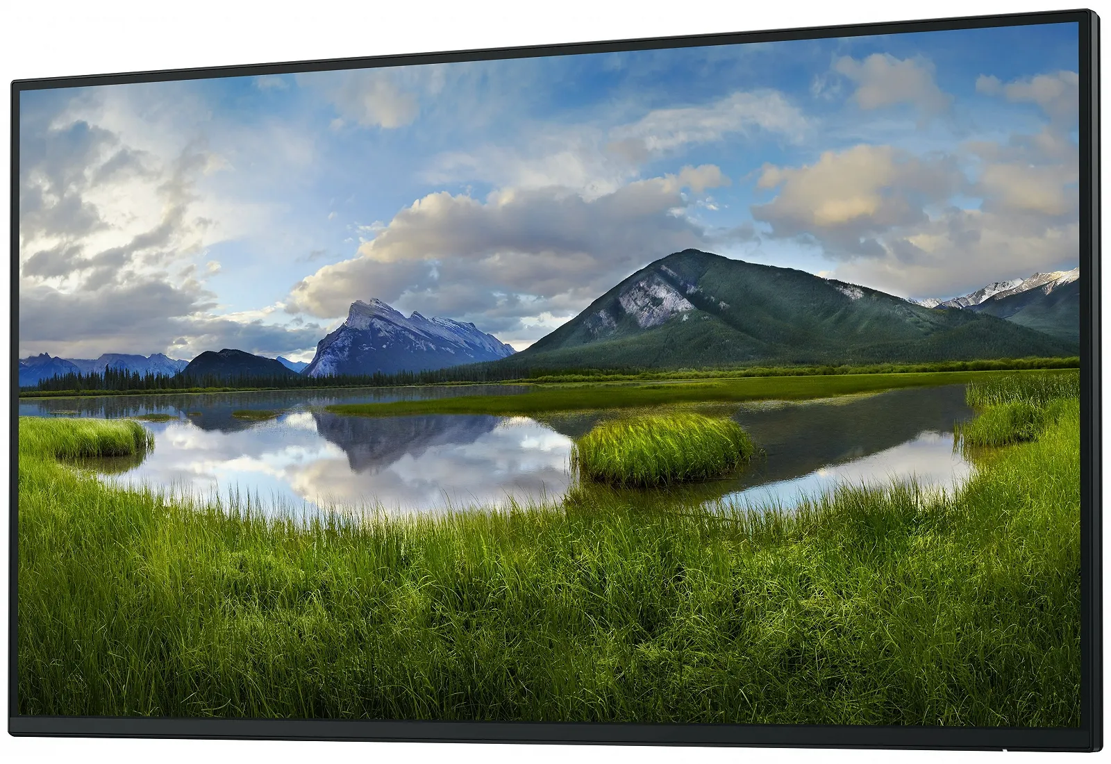 Монітор 27" Dell P2725H WOST Full HD IPS 100 Гц, фото №3