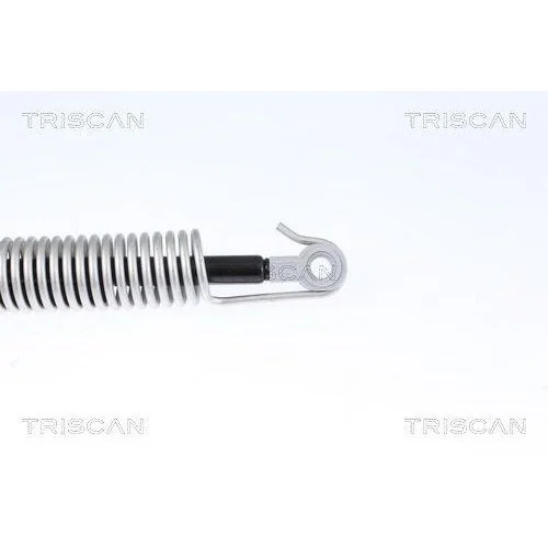 Газова пружина багажника TRISCAN 8710 112014 для BMW, задня права, фото №3