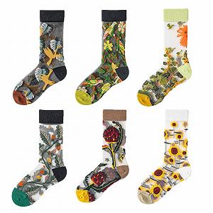 Комплект носков 6 шт. Женские носки с рисунком, носки до щиколотки с цветочным принтом, прозрачные повседневные носки с вышивкой, волшебные носки, женские прозрачные кружевные носки с вышивкой - Фото 1