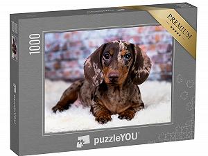 Пазл puzzleYOU Dog Jigsaw Puzzle Collection Dachshund 1000 элементов - Фото 1