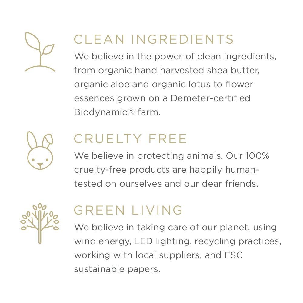 Засіб для миття рук та тіла Zents Ageless Aloe Moisture Anjou з екстрактами фруктів, олією ши та лотосом 300 мл, фото №5 Засіб для миття рук та тіла Zents Ageless Aloe Moisture Anjou з екстрактами фруктів, олією ши та лотосом 300 мл, фото №5