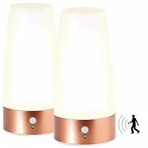 Настольная лампа Lunartec LED Motion Lamp Набор из 2 шт с датчиком движения PIR на батарейках Теплая белая synthetic.ua - Фото 1