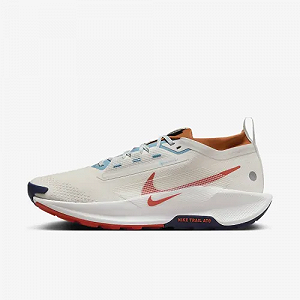 Кроссовки Nike PEGASUS TRAIL 5 GTX Размер 41 - Фото 1