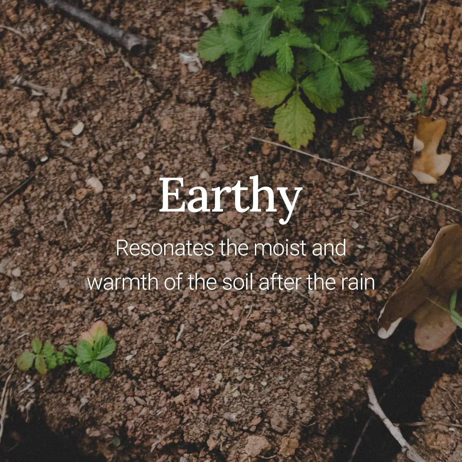 Крем для рук Frudia Re;proust Essential Blending Earthy 50 г, фото №3