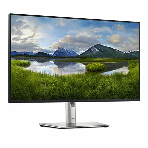 Монитор 27" Dell P2725H Full HD IPS 100 Гц synthetic.ua - Фото 1
