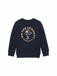 Толстовка TOM TAILOR для хлопчиків з принтом на спині synthetic.ua - Фото 1