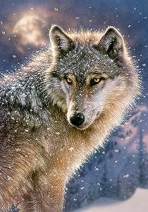 Пазл Castorland Hobby Panoramic Lone Wolf 500 деталей Разноцветный synthetic.ua - Фото 1