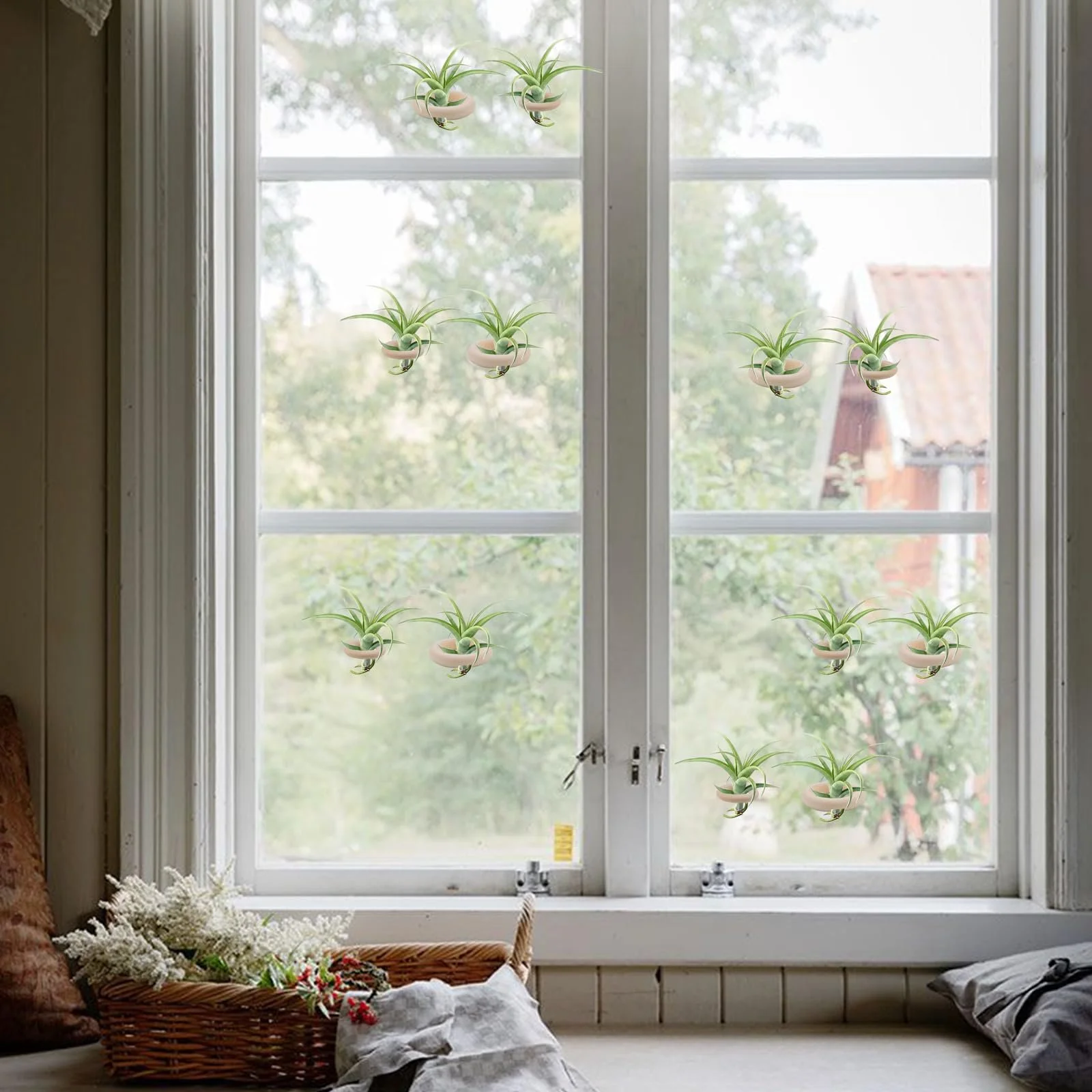 Тримачі для повітряних рослин 20 наборів з присосками Tillandsia Holder настінні для плитки, скла та вікон, фото №4 Тримачі для повітряних рослин 20 наборів з присосками Tillandsia Holder настінні для плитки, скла та вікон, фото №4