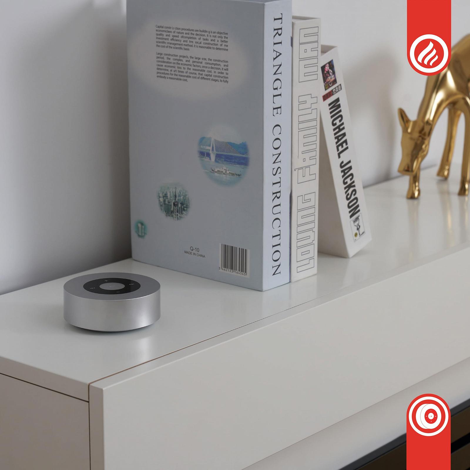 Портативна колонка KAMINIO Knister Moritz Потужний музичний центр з камінними звуками Bluetooth AUX Мікрофон Акумулятор Срібний, фото №2