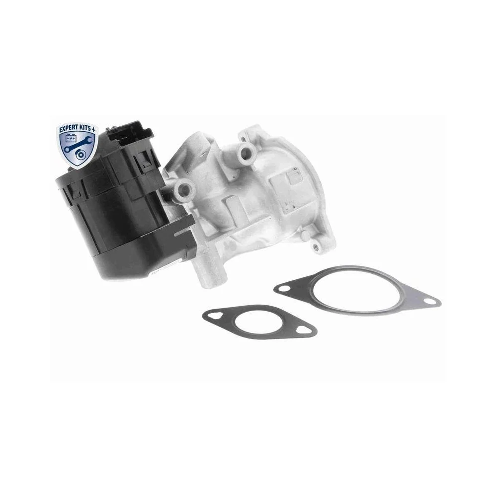 Клапан EGR VEMO V25-63-0010 EXPERT KITS + для CITROËN FIAT FORD LANCIA PEUGEOT, фото №1