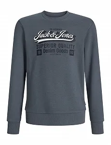 Світшот JACK & JONES Jjelogo Sweat Crew 2 Col Aw25 Noos Jnr - Фото 1