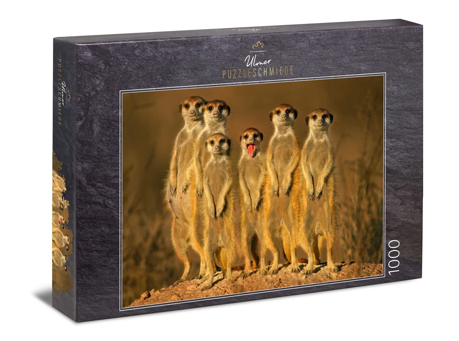Пазл Ulmer Puzzleschmiede Little Cheeky Badger 1000 элементов Животные Сурикаты Южная Африка, фото №1