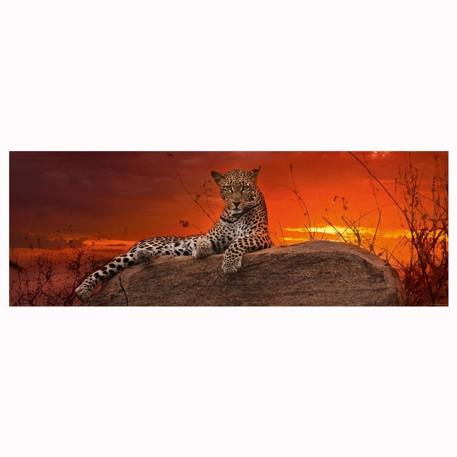 Пазл Paul Lamond Red Dawn Wildlife 2000 деталей, фото №1