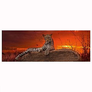 Пазл Paul Lamond Red Dawn Wildlife 2000 деталей - Фото 1